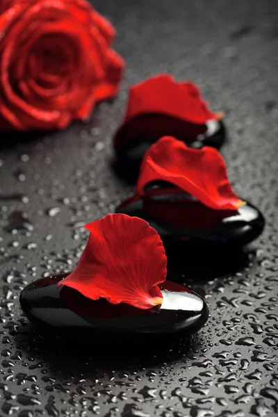 Spa stones and rose petals over black — Stock Photo, Image