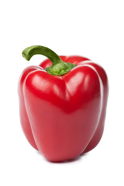 Zralé papriky, samostatný — Stock fotografie