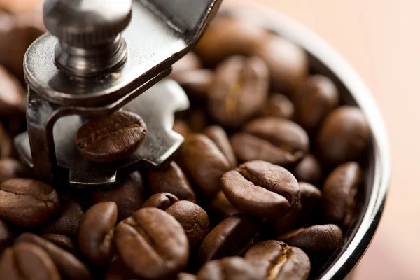 stock image Roasted coffee beans in coffee grinder