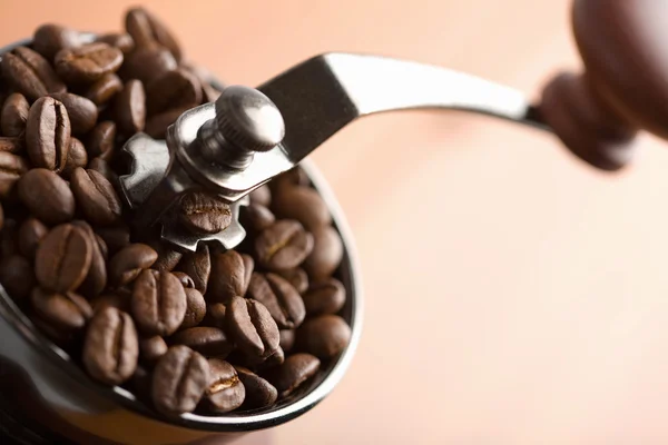 stock image Roasted coffee beans in coffee grinder