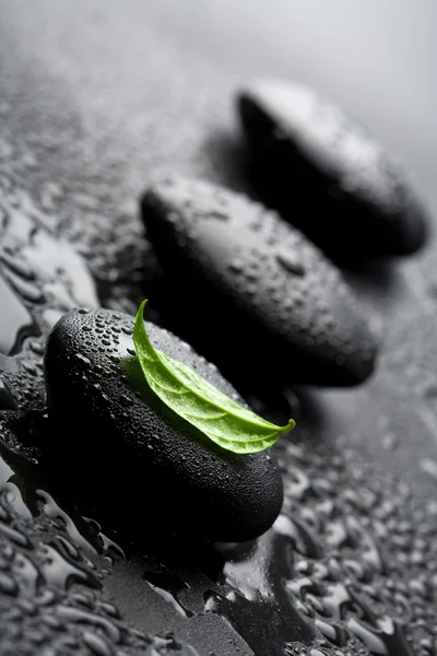 スパの石と水の滴の葉 — ストック写真