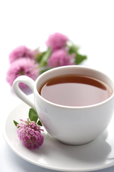 Xícara branca de chá de ervas e flores de trevo isolado — Fotografia de Stock