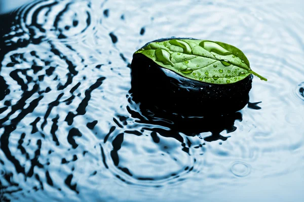 Spa stone op blad in water — Stockfoto