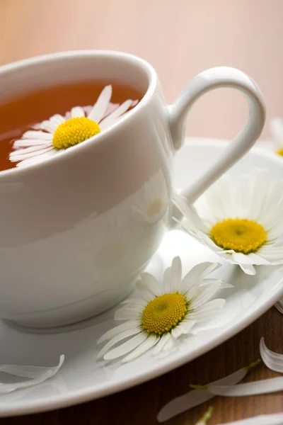 White cup of herbal tea and camomile flowers — Stock Photo, Image
