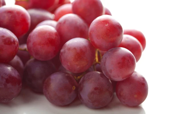 Rijpe druiven geïsoleerd — Stockfoto