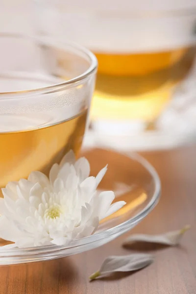 Чашка зеленого чаю і білої квітки — стокове фото