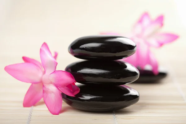Wellness kameny a růžový květ — Stock fotografie
