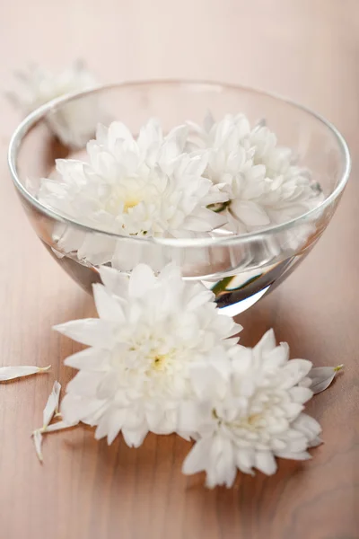 Flores blancas flotando en un tazón. fondo de spa —  Fotos de Stock