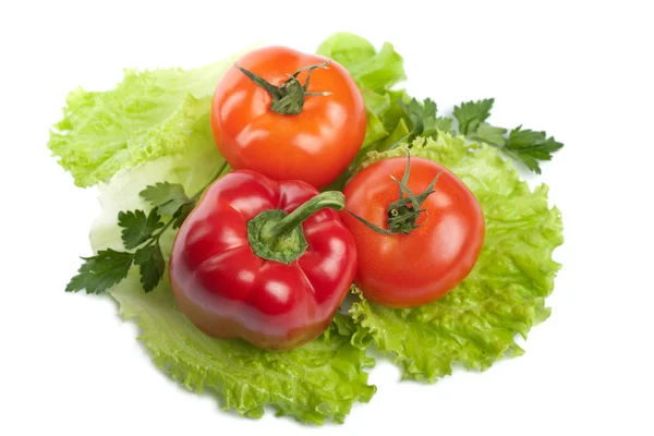 Kolorowe warzywa świeże na białym tle — Zdjęcie stockowe