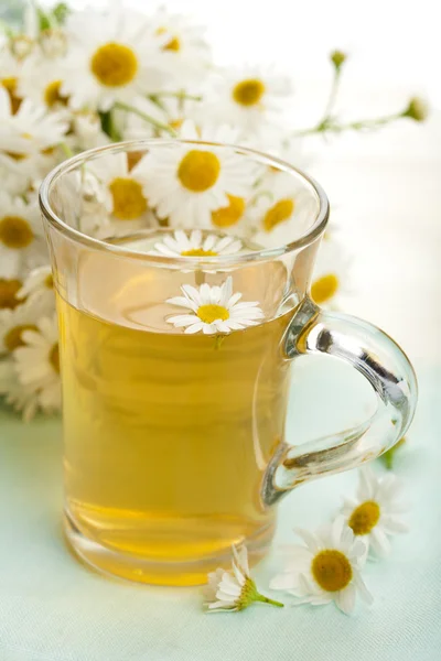 Cup of herbal tea with camomile flowers — Stock Photo, Image