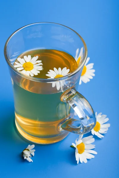 Camomile tea over blue — Stock Photo, Image