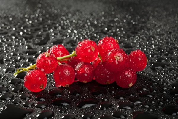 Röda vinbär med vattendroppar över svart — Stockfoto