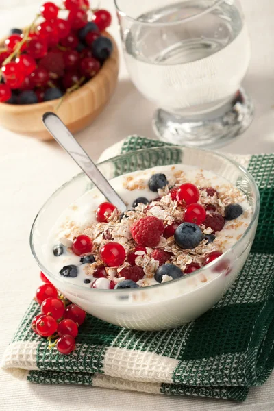 Joghurt, gabonapehely és vadon termő bogyósok — Stock Fotó
