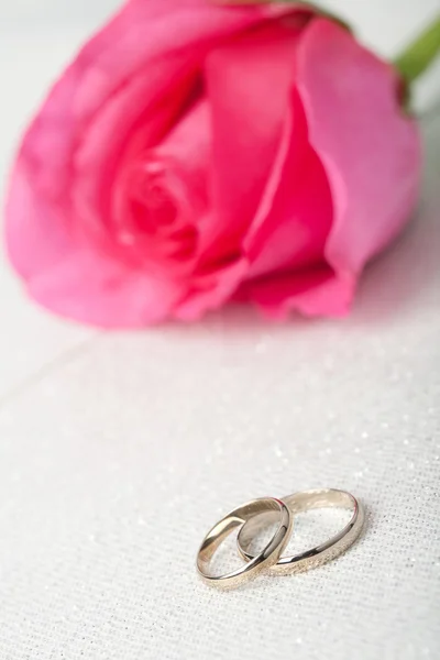 Goldene Trauringe und rosa Rose — Stockfoto