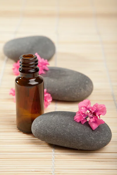 Pedras de spa com flores e garrafa cosmética — Fotografia de Stock