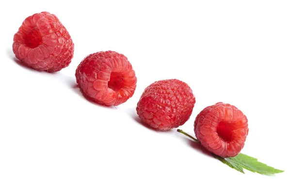 stock image Fresh raspberries isolated