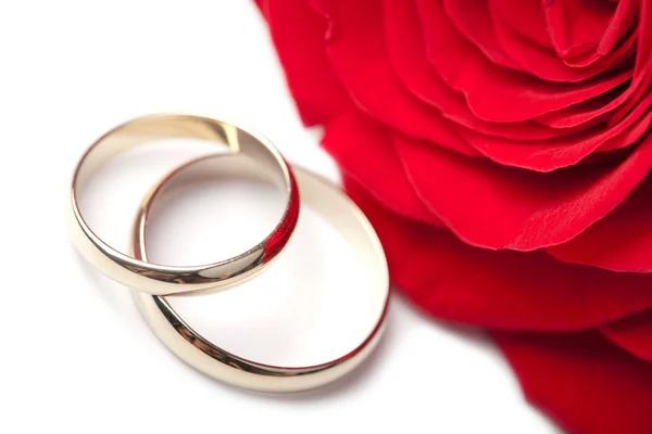 Zlaté snubní prsteny a červené růže, samostatný — Stock fotografie