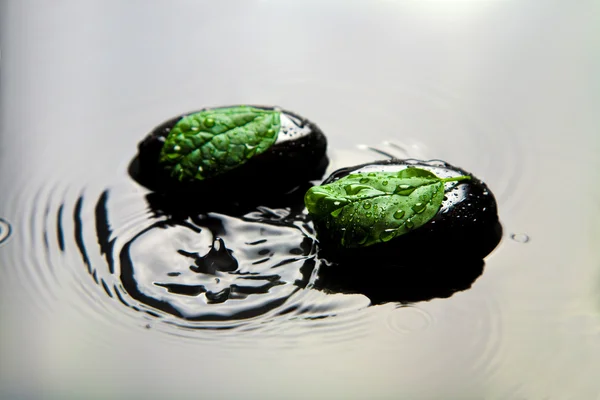 Pietra termale con foglie in acqua — Foto Stock