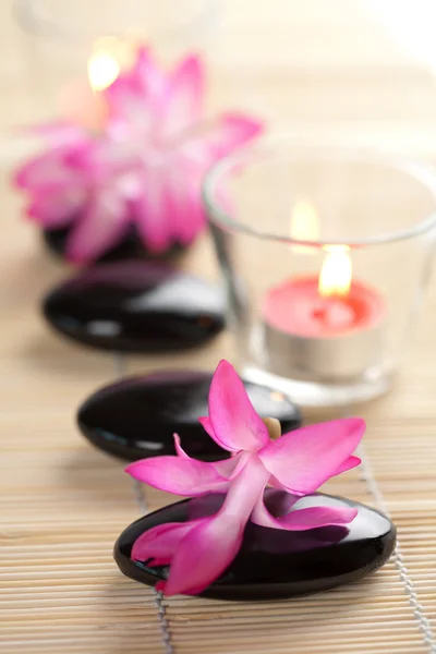 Pedras de spa e flores cor de rosa sobre tapete de bambu — Fotografia de Stock