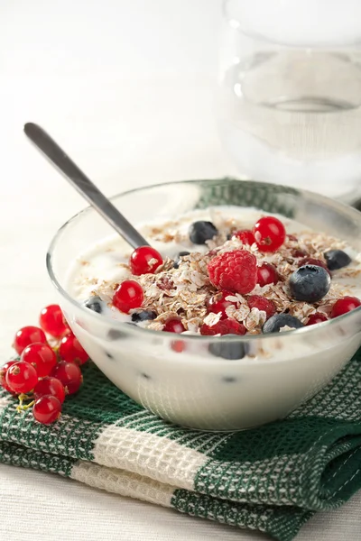 Йогурт с зерновыми и дикими ягодами — стоковое фото