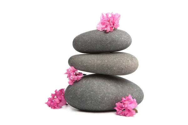Spa stones and flowers isolated — Stock Photo, Image