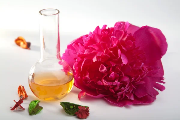 Set di aromaterapia — Foto Stock