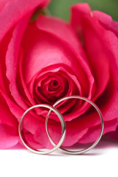 Goldene Trauringe und rosa Rose vereinzelt — Stockfoto