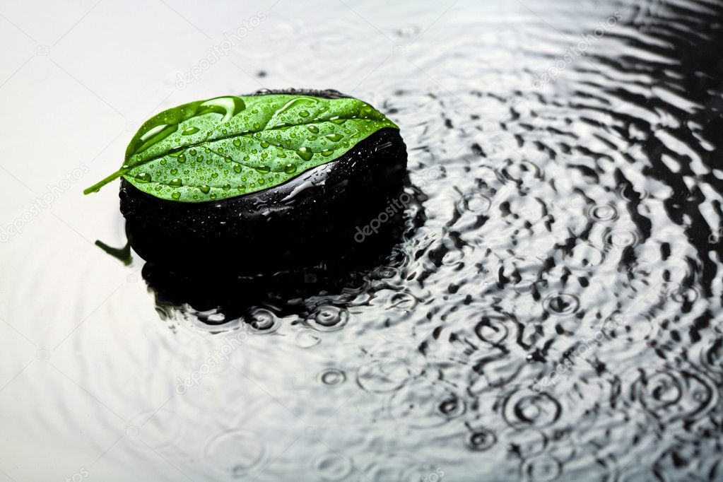 Spa stone and leaf in water