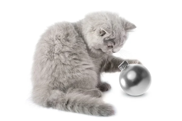 Gatito jugando con bola de Navidad aislado —  Fotos de Stock