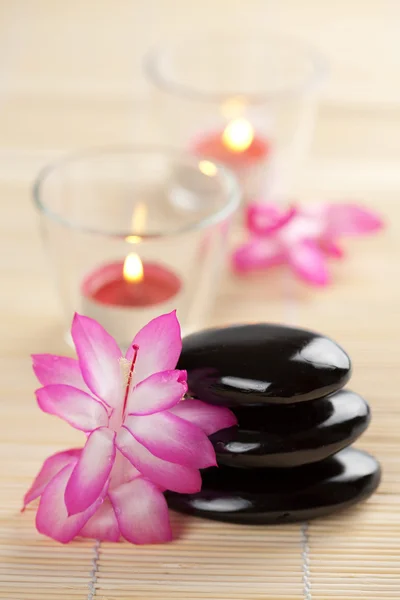 Wellness-Steine und rosa Blumen über Bambusmatte — Stockfoto