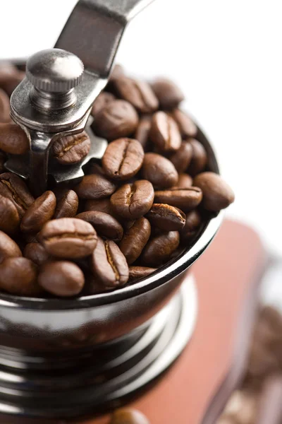 Roasted coffee beans in grinder isolated — Stock Photo, Image