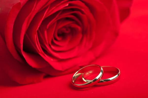 Gouden trouwringen en rode rose — Stockfoto
