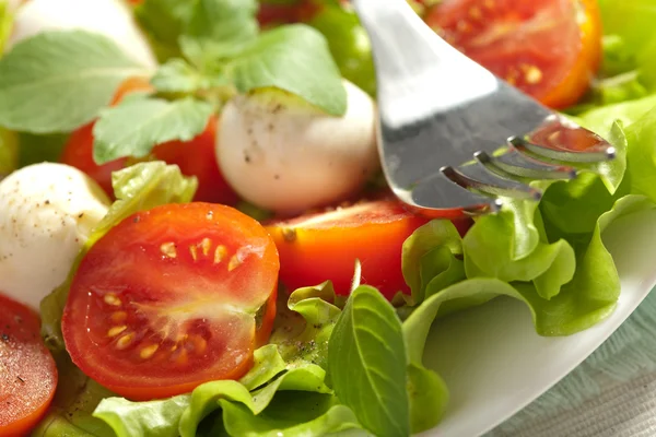Sałatka z pomidorami i mozzarellą — Zdjęcie stockowe