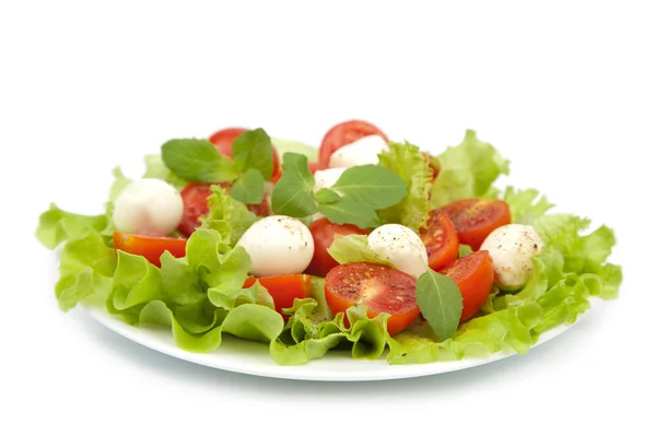 Салат с помидорами и моцареллой изолирован — стоковое фото