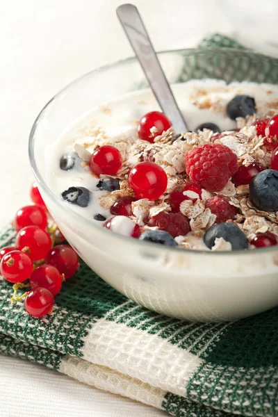 Yogur con cereales y bayas silvestres — Foto de Stock