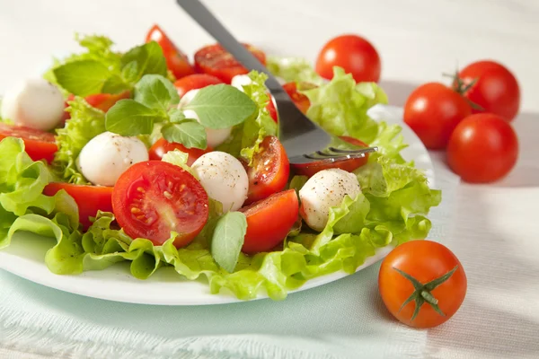 Salát s rajčaty a mozzarellou — Stock fotografie