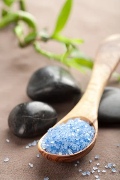 ハーブの塩とスパの石 — ストック写真
