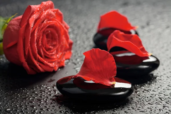 Spa kamienie i rose na czarno — Zdjęcie stockowe