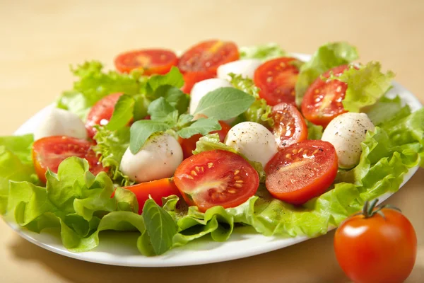 Salada com tomates e mussarela — Fotografia de Stock