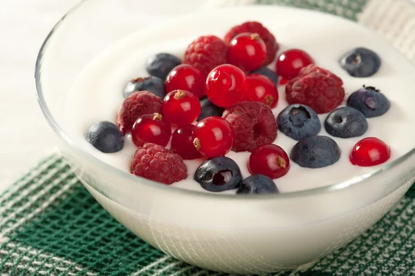 Jogurt s lesním ovocem — Stock fotografie
