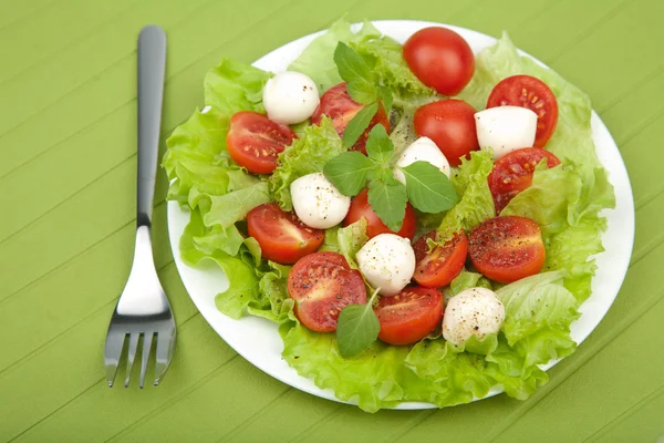 Салат с помидорами и моцареллой — стоковое фото