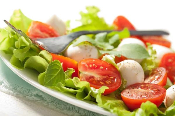 Salada com tomates e mussarela — Fotografia de Stock