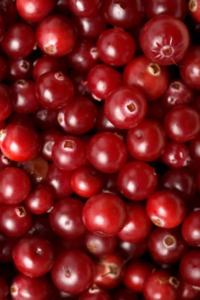 Red cranberries background — Stock Photo, Image