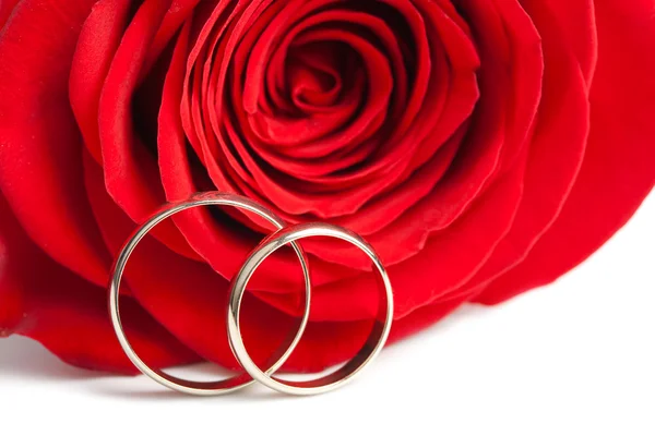 Anéis de casamento de ouro e rosa vermelha isolada — Fotografia de Stock