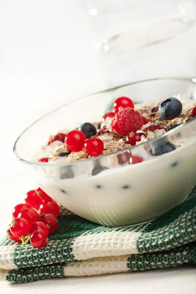 Joghurt mit Müsli und Waldbeeren — Stockfoto