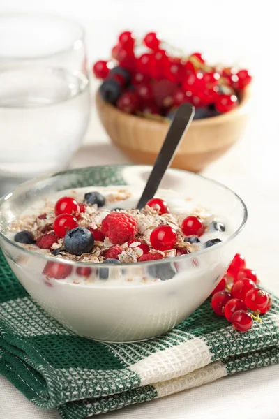 Yoghurt with cereal and wild berries — Stock Photo, Image