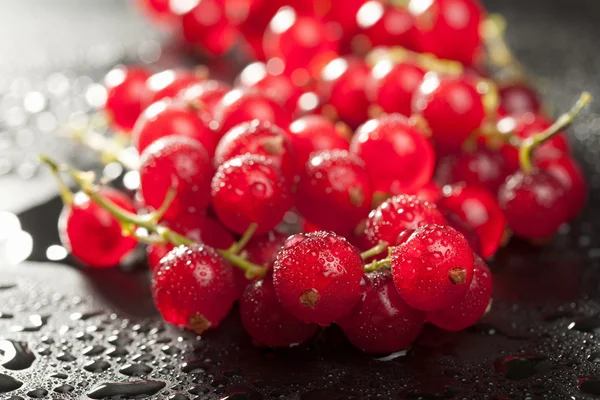Redcurrant with water drops over black — Stock Photo, Image