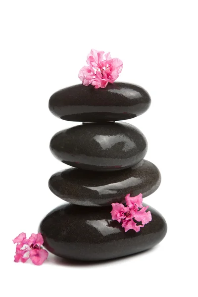 Wellness stones en roze bloemen geïsoleerd — Stockfoto