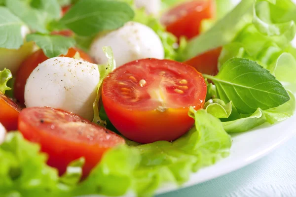 Sallad med tomater och mozzarella — Stockfoto