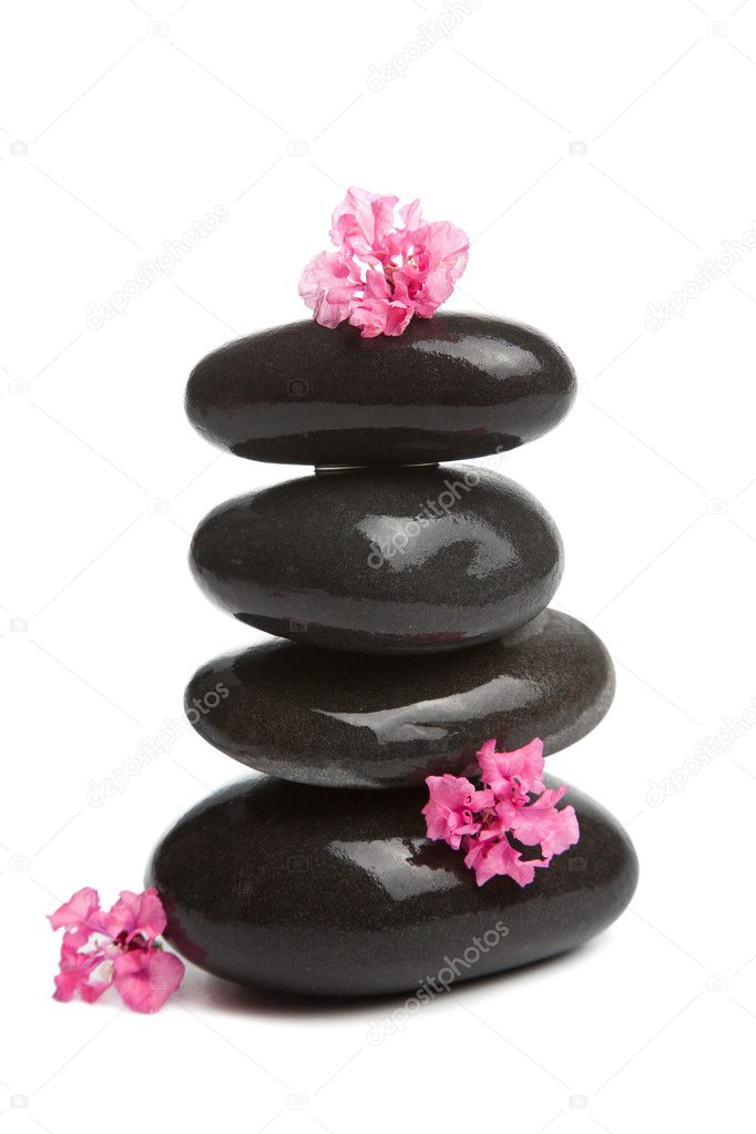 Spa stones and pink flowers isolated